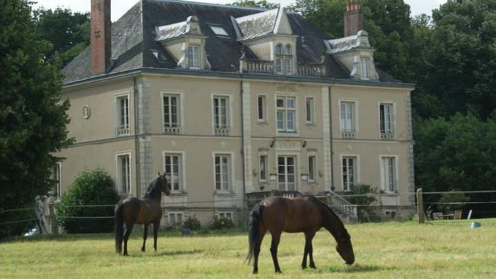 Отель Domaine De Bel Air Cerans-Foulletourte Экстерьер фото